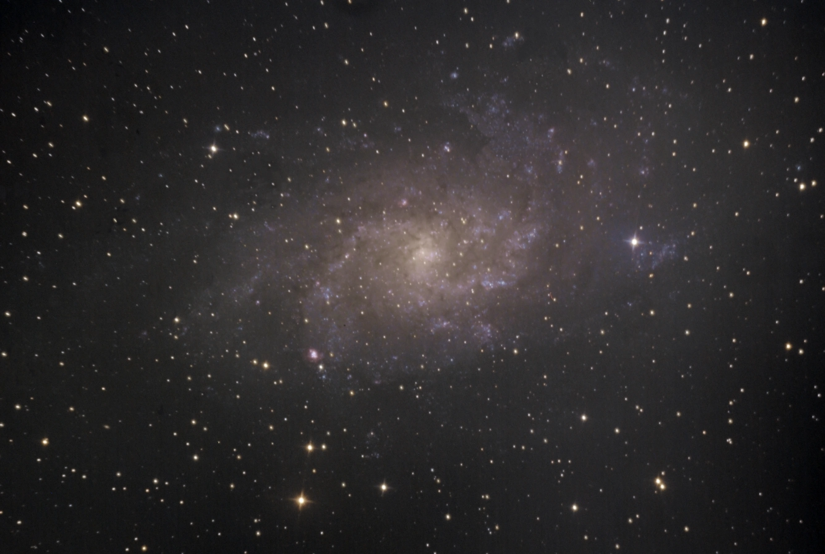 Dreiecks-Galaxie M33